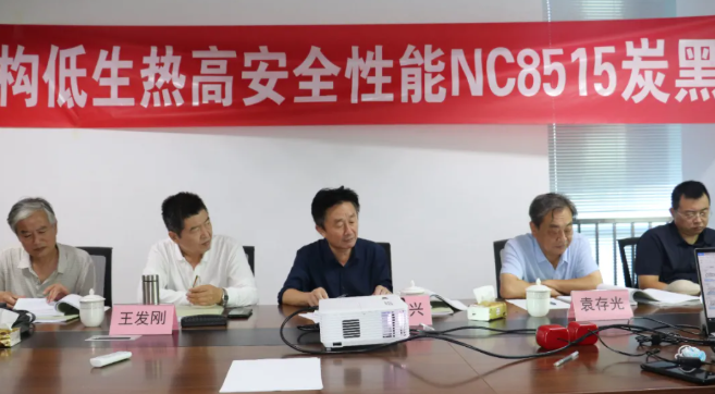 NC8515炭黑獲評國際先進