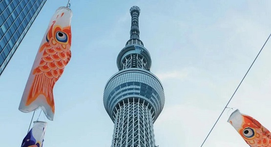 日本東京西南部的小田原(Odawara)開始生產汽車護套