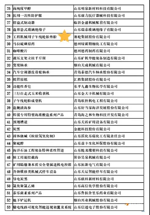 賽輪集團“工程機械用子午線輪胎外胎”榮獲山東省制造業(yè)單項冠軍