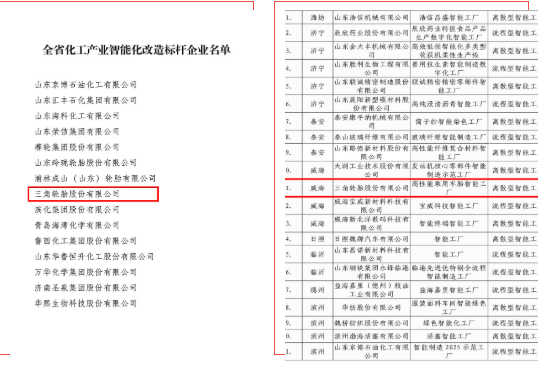 三角輪胎獲評山東省兩個“智能化”獎項