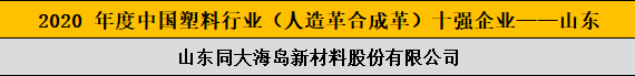 2020 年度中國塑料行業(yè)（人造革合成革）十強(qiáng)企業(yè)——山東