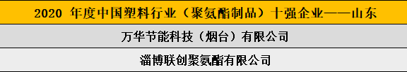 2020 年度中國塑料行業(yè)（聚氨酯制品）十強(qiáng)企業(yè)——山東