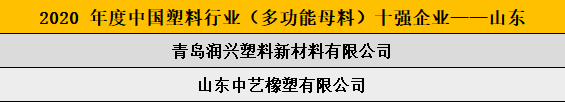 2020 年度中國塑料行業(yè)（多功能母料）十強(qiáng)企業(yè)——山東