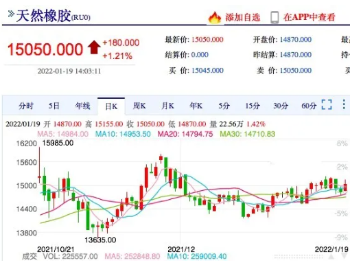 橡膠停割即將開啟，  膠價還會攀升?