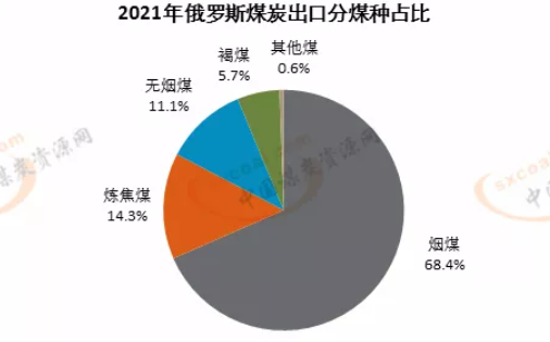 2021年俄羅斯出口煤種占比