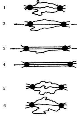 橡膠大分子鏈滑動學說