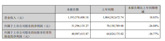 橡塑企業(yè)道恩股份分布第一季度報(bào)告