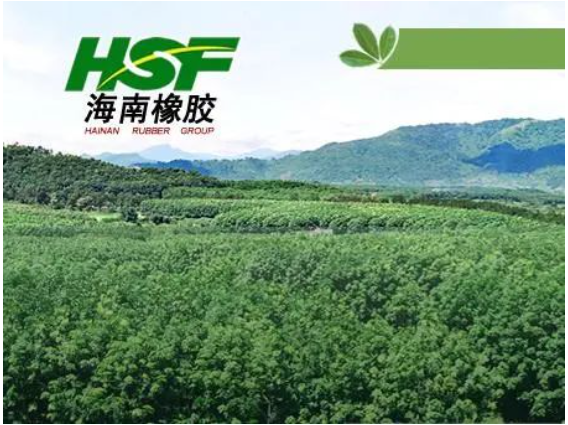 公司在不具有商業(yè)實(shí)質(zhì)的情況下進(jìn)行會(huì)計(jì)處理，導(dǎo)致多期年度報(bào)告財(cái)務(wù)信息披露不真實(shí)，違反了多項(xiàng)規(guī)定。