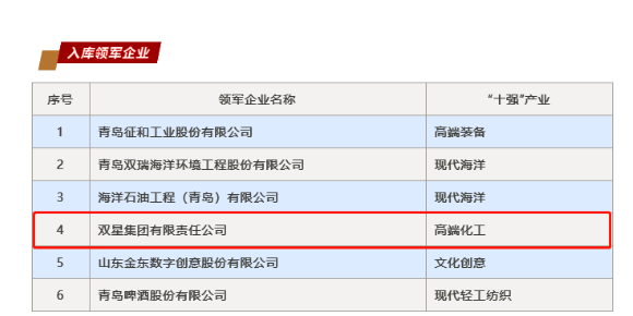 雙星獲評(píng)山東省“十強(qiáng)”產(chǎn)業(yè)集群領(lǐng)軍企業(yè)