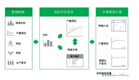 普利司通利用大數(shù)據(jù)優(yōu)化橡膠樹種植，助力橡膠園增產(chǎn)