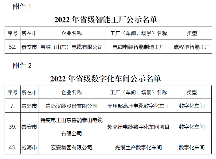 寶勝（山東）電纜入選2022年山東省智能工廠名單