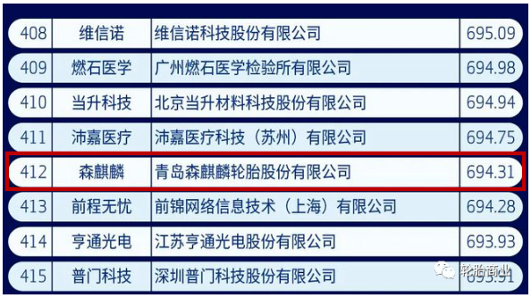 中國新經(jīng)濟500強，森麒麟入選