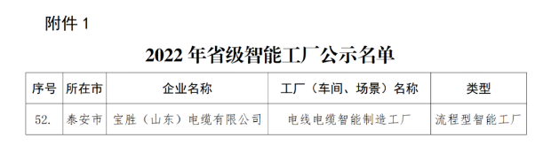 寶勝（山東）電纜入選2022年省級智能工廠公示名單