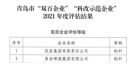 10.雙星集團，全國國企改革“雙百企業(yè)”標桿!