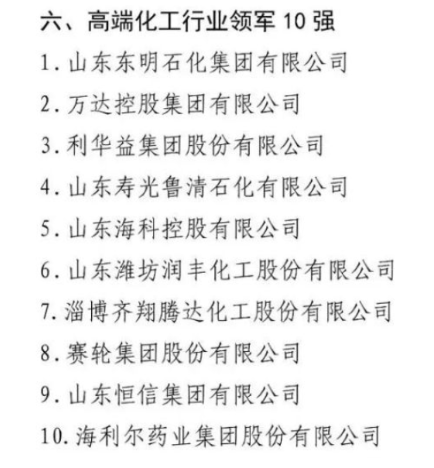 在今年高端化工行業(yè)領軍10強企業(yè)的評選中，賽輪集團與萬達集團共同入圍名單。