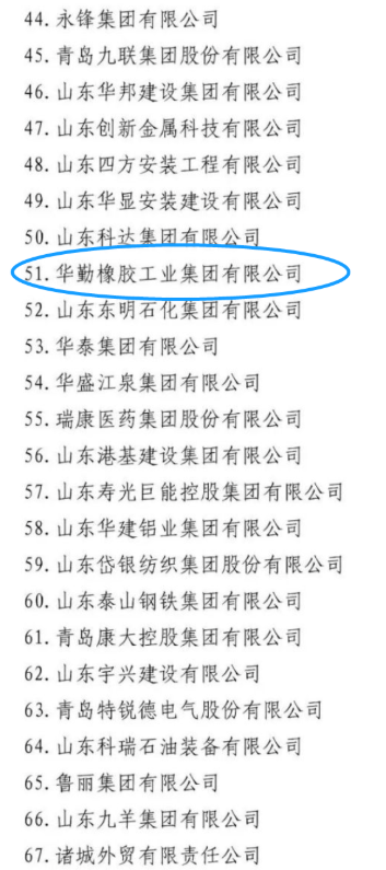 其中玲瓏輪胎、賽輪集團、萬達集團、華勤橡膠、三角輪胎、豪邁集團，入圍山東民營企業(yè)吸納就業(yè) 100 強名單。