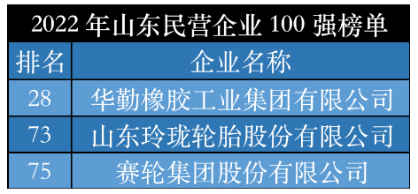 2022山東輪胎領(lǐng)軍企業(yè)，震撼發(fā)布！