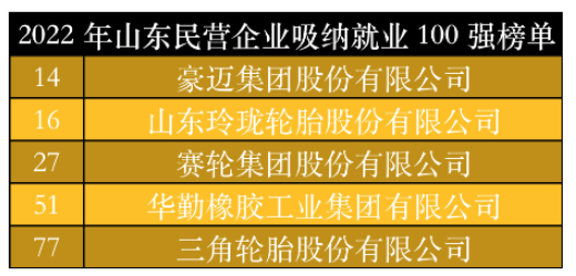 山東民營企業(yè)吸納就業(yè)100強榜單中，豪邁集團、玲瓏輪胎、賽輪集團、華勤橡膠、三角輪胎位列其中。作為勞動力較為密集的制造業(yè)，以上5家輪胎及相關(guān)企業(yè)吸納就業(yè)數(shù)千人。