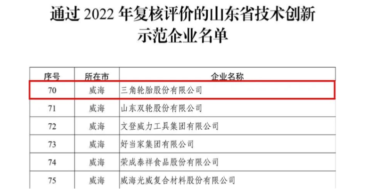 三角通過技術創(chuàng)新示范企業(yè)復評