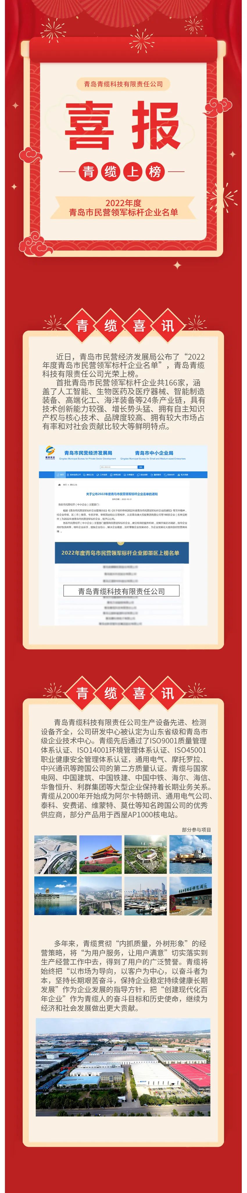 青島青纜科技入選2022年度青島市民營領(lǐng)軍標(biāo)桿企業(yè)名單