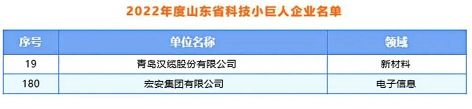 青島漢纜股份、宏安集團(tuán)入選2022年度山東省科技領(lǐng)軍企業(yè)名單