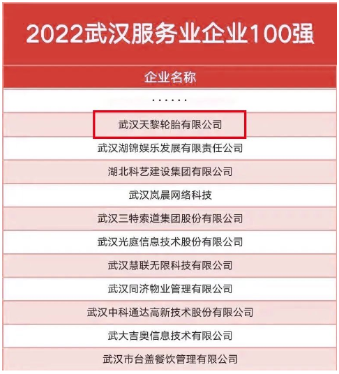 武漢天黎，連續(xù)五年入選政府榜單！