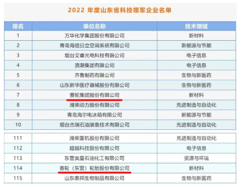 賽輪集團入選2022年度山東省科技領(lǐng)軍企業(yè)