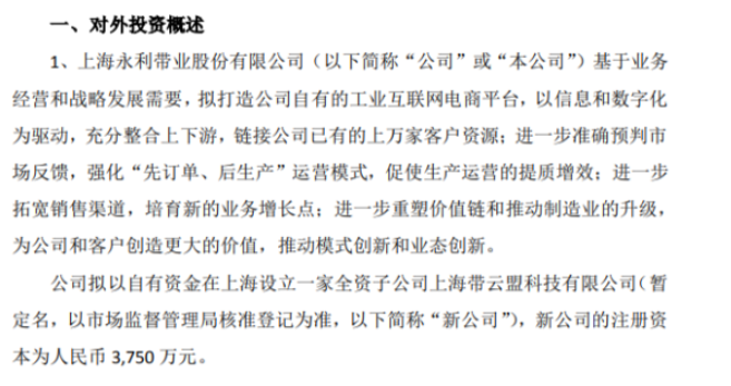 永利股份擬以自有資金在上海投資3750萬設(shè)立一家全資子公司上海帶云盟科技有限公司