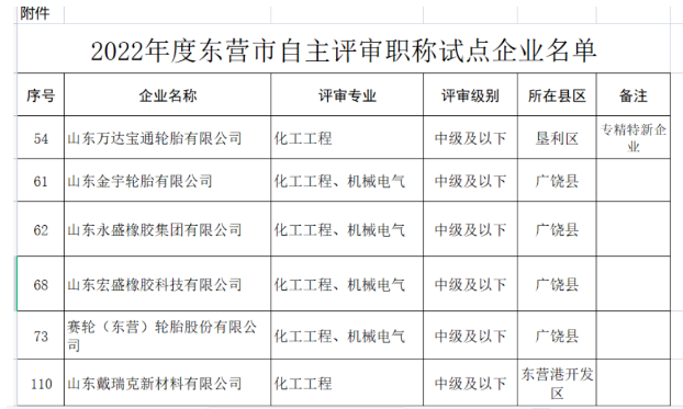 職稱自主評(píng)審，5家輪胎企業(yè)試點(diǎn)！