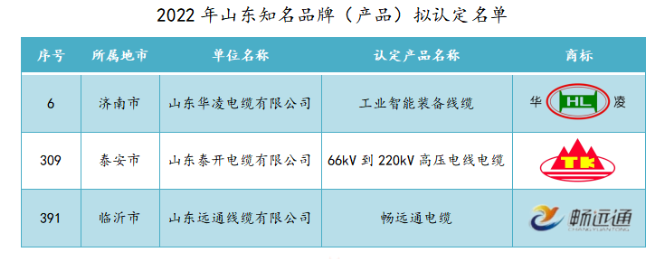 山東華凌電纜、山東泰開電纜、山東遠(yuǎn)通線纜入選2022年山東知名品牌擬認(rèn)定名單