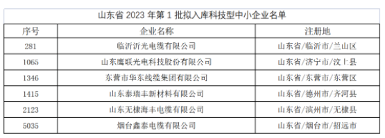 其中，東營(yíng)市華東線纜集團(tuán)有限公司、臨沂沂光電纜有限公司、山東鷹聯(lián)光電科技股份有限公司、山東泰瑞豐新材料有限公司、山東無(wú)棣海豐電纜有限公司、煙臺(tái)鑫泰電纜有限公司等多家電線電纜企業(yè)進(jìn)入山東省2023年第1批擬入庫(kù)科技型中小企業(yè)名單。