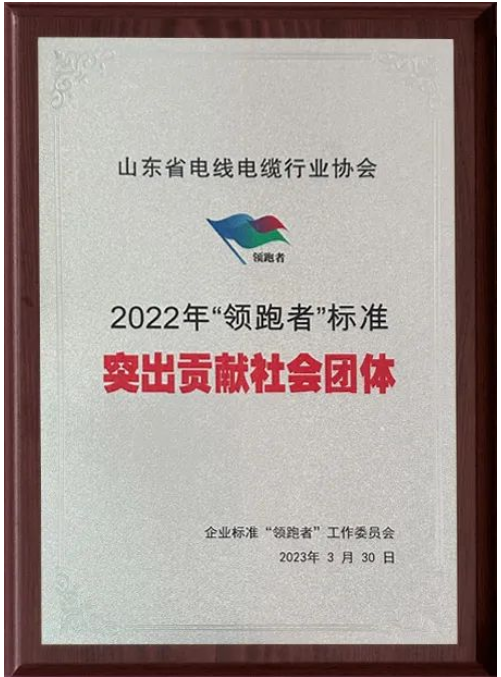 會(huì)上，山東省電線電纜行業(yè)協(xié)會(huì)獲“2022年‘領(lǐng)跑者’標(biāo)準(zhǔn)突出貢獻(xiàn)社會(huì)團(tuán)體”“2022年‘領(lǐng)跑者’榜單突出貢獻(xiàn)評(píng)估機(jī)構(gòu)”兩項(xiàng)殊榮。授牌儀式隆重舉行，這也標(biāo)志著山東省電線電纜行業(yè)協(xié)會(huì)在企業(yè)標(biāo)準(zhǔn)“領(lǐng)跑者”制度的評(píng)價(jià)工作中取得了重要成果。