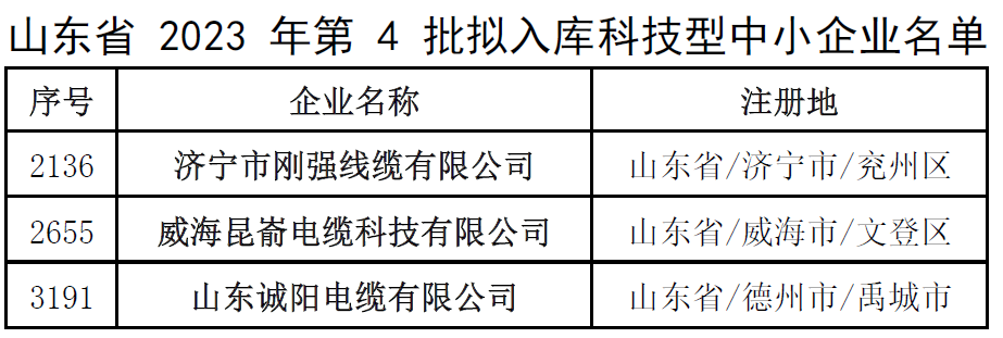 此次入庫名單的公示將為這些企業(yè)帶來更多的發(fā)展機(jī)遇和資源支持，同時(shí)也為其他科技型中小企業(yè)樹立了榜樣。