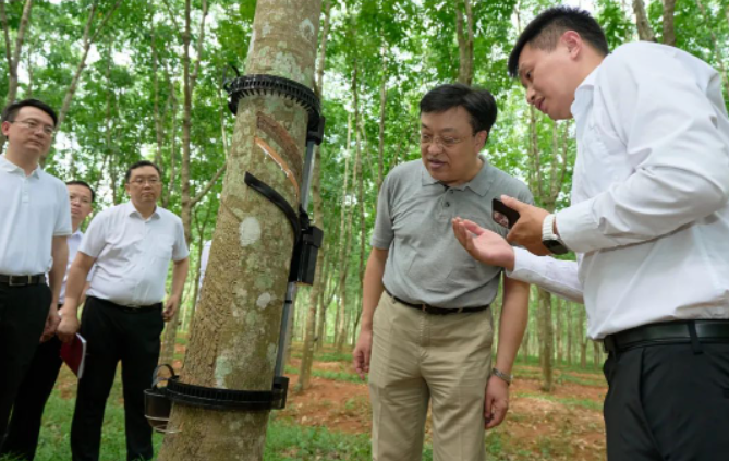 據(jù)了解，天然橡膠作為國(guó)家重要的戰(zhàn)略物資和工業(yè)原料，也是膠農(nóng)收入的重要來源。海南作為我國(guó)重要的天然橡膠生產(chǎn)和加工基地，馮飛書記指出，海南合勝橡膠科技有限公司和相關(guān)科研單位應(yīng)始終懷揣著"國(guó)之大者"的情懷，堅(jiān)定發(fā)展信心，聚焦海南天然橡膠全產(chǎn)業(yè)鏈發(fā)展，致力于打破產(chǎn)業(yè)鏈發(fā)展中的阻礙，推動(dòng)海南天然橡膠產(chǎn)業(yè)高質(zhì)量發(fā)展，確保國(guó)家天然橡膠供給的安全。