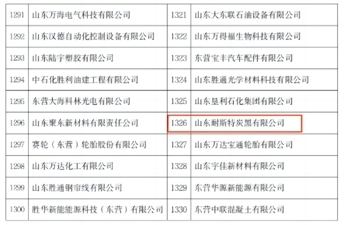 這一殊榮充分肯定了耐斯特公司在自主創(chuàng)新的研發(fā)實(shí)力和數(shù)字科技成果轉(zhuǎn)化能力方面所取得的成就。耐斯特炭黑公司長(zhǎng)期以來(lái)一直高度重視數(shù)字化建設(shè)，致力于產(chǎn)品迭代服務(wù)和持續(xù)提升，通過(guò)自身的數(shù)字賦能行動(dòng)在激烈的市場(chǎng)競(jìng)爭(zhēng)中脫穎而出，展現(xiàn)出了不斷發(fā)展壯大的信心和決心。