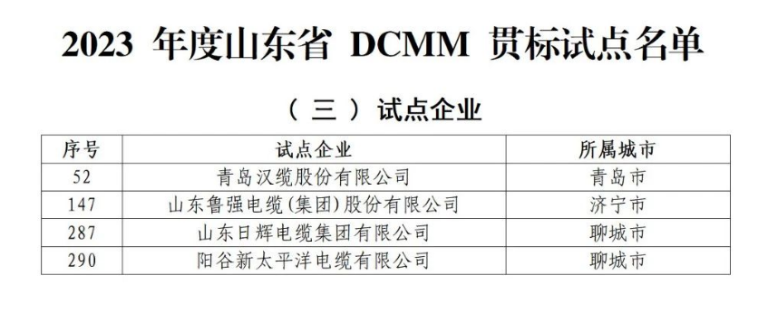 多家電線電纜企業(yè)入選山東省DCMM貫標試點名單