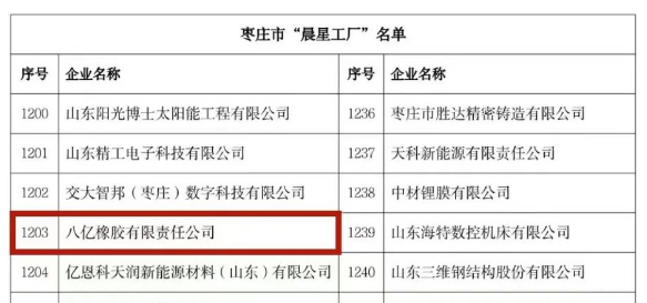 八億橡膠公司入選山東省“晨星工廠”入庫培育名單