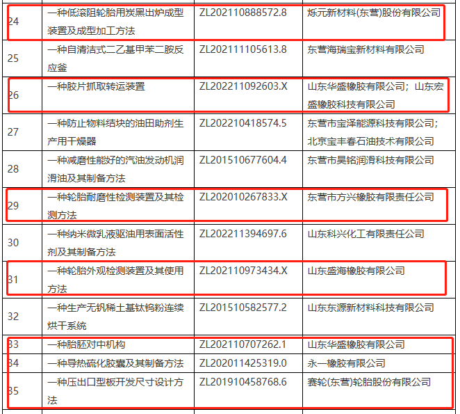 該名單的公示期為6月27日至7月4日，由東營市高價值專利評審委員會辦公室組織開展。