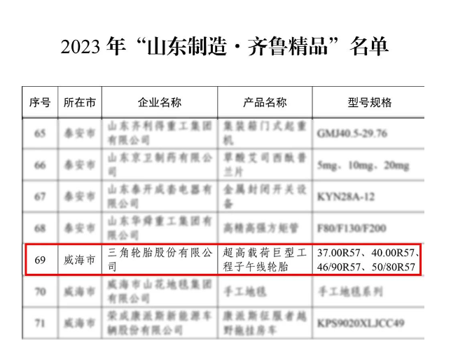 三角輪胎在這些榮譽中的獲得，充分展示了其在科學研究、工業(yè)領域和制造業(yè)發(fā)展方面的卓越表現(xiàn)。