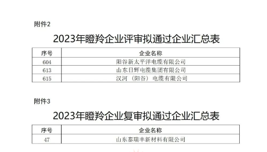 山東省工業(yè)和信息化廳在本次認(rèn)定工作中嚴(yán)格按照相關(guān)文件規(guī)定的程序和標(biāo)準(zhǔn)進(jìn)行評(píng)選，充分尊重市場(chǎng)主體自愿申報(bào)的原則，注重專家評(píng)審和第三方信用評(píng)級(jí)的公正性與權(quán)威性，確保了認(rèn)定結(jié)果的準(zhǔn)確性和公信力。