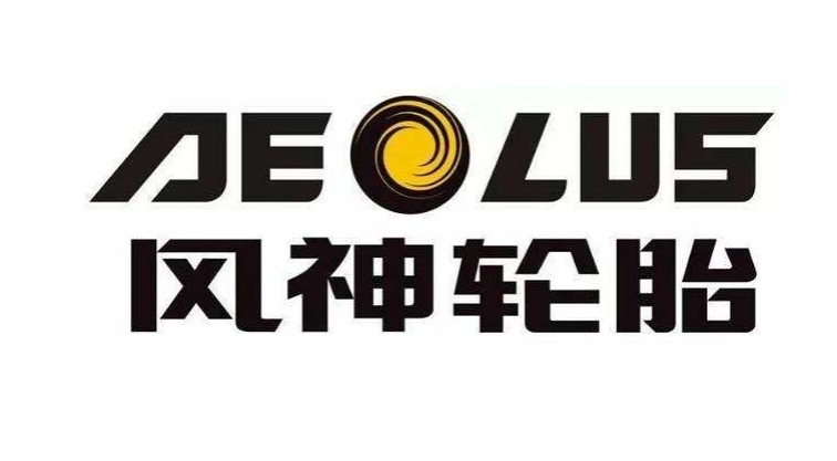 河南省制造業(yè)頭雁企業(yè)名單正式對外公布。在這份名單中，風(fēng)神輪胎股份有限公司脫穎而出，成為唯一入選的輪胎企業(yè)。