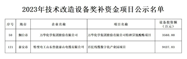 根據(jù)山東省政府《關(guān)于印發(fā)2023年“穩(wěn)中向好、進(jìn)中提質(zhì)”政策清單(第一批)的通知》(魯政發(fā)〔2022〕18號)以及《關(guān)于組織申報2023年技術(shù)改造設(shè)備獎補(bǔ)資金項目的通知》(魯工信規(guī)〔2023〕109號)的要求，山東省工業(yè)和信息化廳積極組織并展開了2023年技術(shù)改造設(shè)備獎補(bǔ)資金項目評審工作。在經(jīng)歷了企業(yè)申報、各市推薦、財務(wù)審核、專家評審、部門核查等多個環(huán)節(jié)后，最終擬定了包含216個項目的2023年技術(shù)改造設(shè)備獎補(bǔ)資金項目名單。