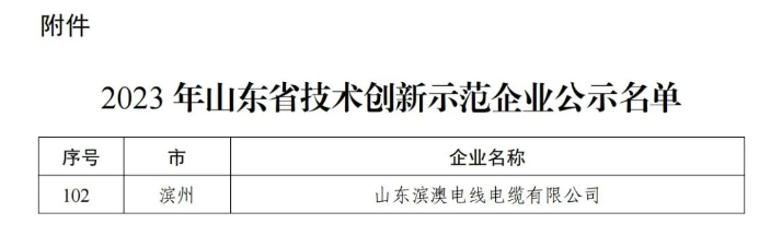 據(jù)悉，山東濱澳電線電纜有限公司先后獲得國(guó)家級(jí)高新技術(shù)企業(yè)、山東省企業(yè)技術(shù)中心、省級(jí)專(zhuān)精特新中小企業(yè)、濱州市科技型中小企業(yè)等多項(xiàng)榮譽(yù)，并擁有十余項(xiàng)專(zhuān)利成果。公司目前擁有超過(guò)120名員工，其中有20余名從事研發(fā)技術(shù)工作。其全國(guó)工業(yè)產(chǎn)品生產(chǎn)許可證證書(shū)以及強(qiáng)大的技術(shù)創(chuàng)新能力、健全的質(zhì)量保障體系和科學(xué)的管理模式為企業(yè)不斷壯大提供了持續(xù)動(dòng)力。