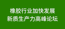 橡膠行業(yè)加快發(fā)展新質(zhì)生產(chǎn)力高峰論壇