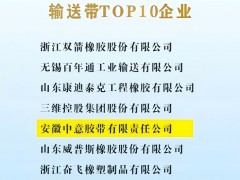 2023-2024年度輸送帶行業(yè)TOP10榜單揭曉